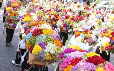 Regresa la Feria de las Flores  