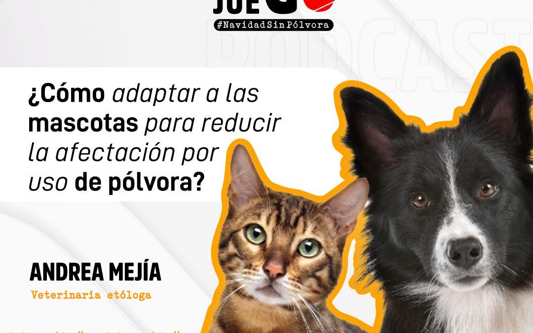 ¿Cómo adaptar a las mascotas frente al uso de pólvora?