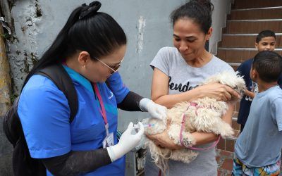 En Medellín, alcaldía vacuna animales contra virus de la rabia