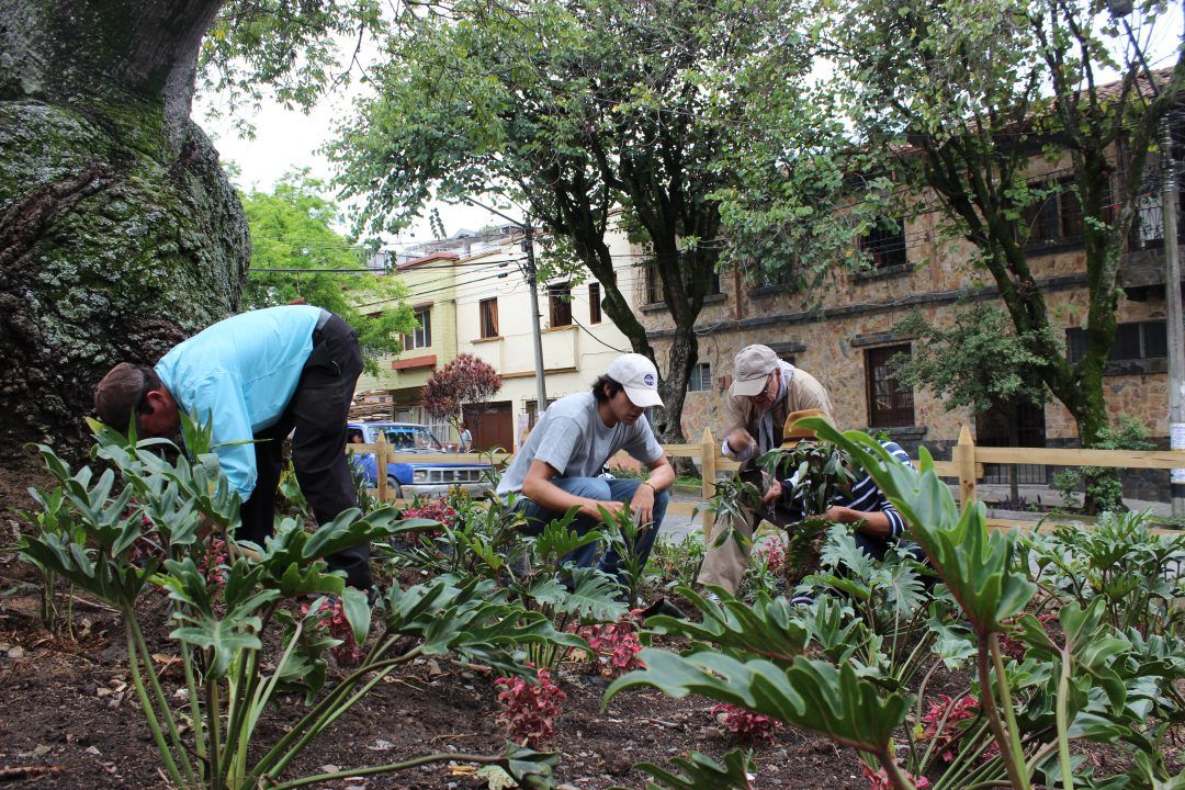 Parque Olano 